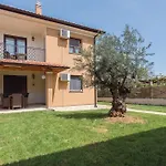 Modern Stefano